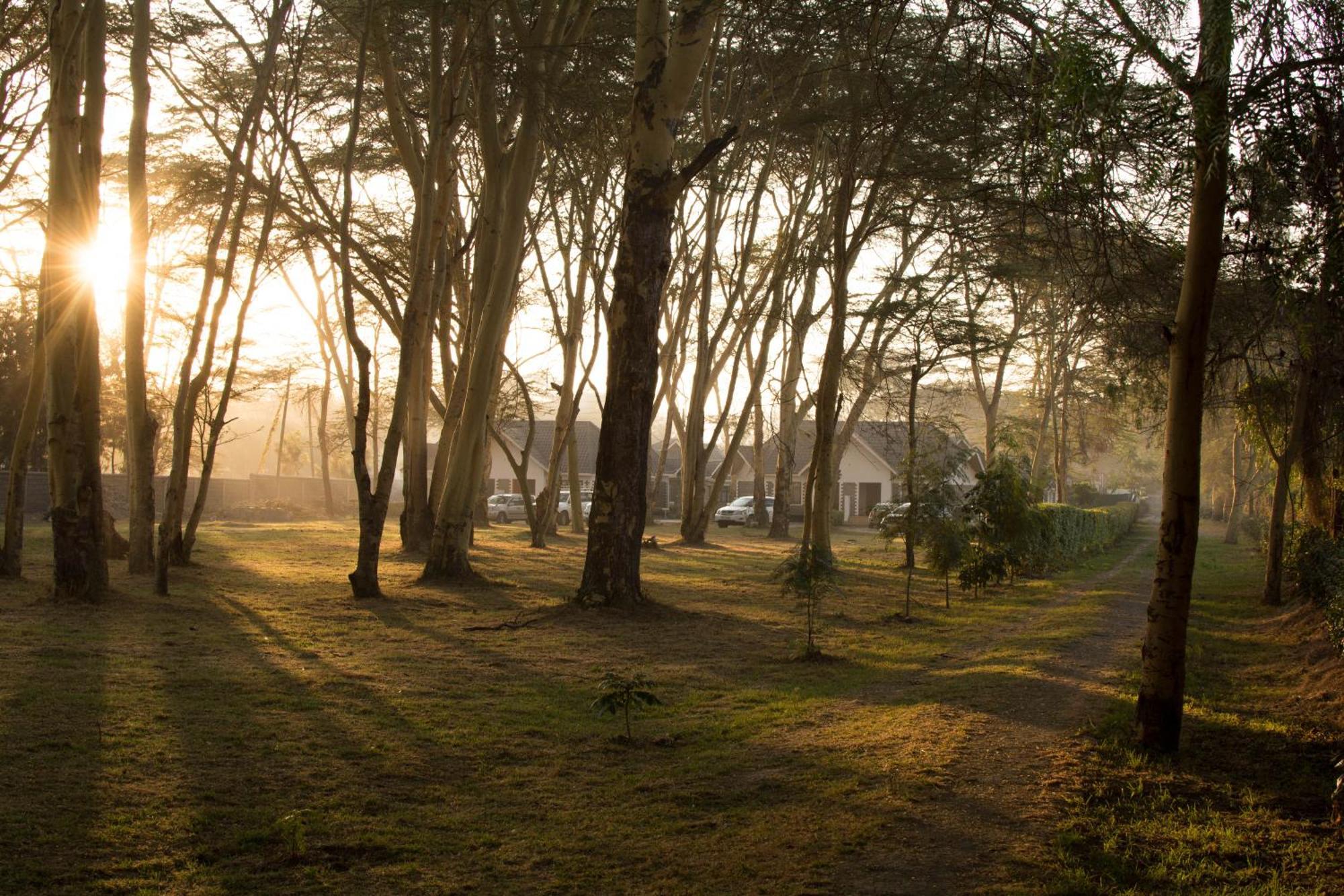 Burch'S Resort Naivasha Camping Zewnętrze zdjęcie