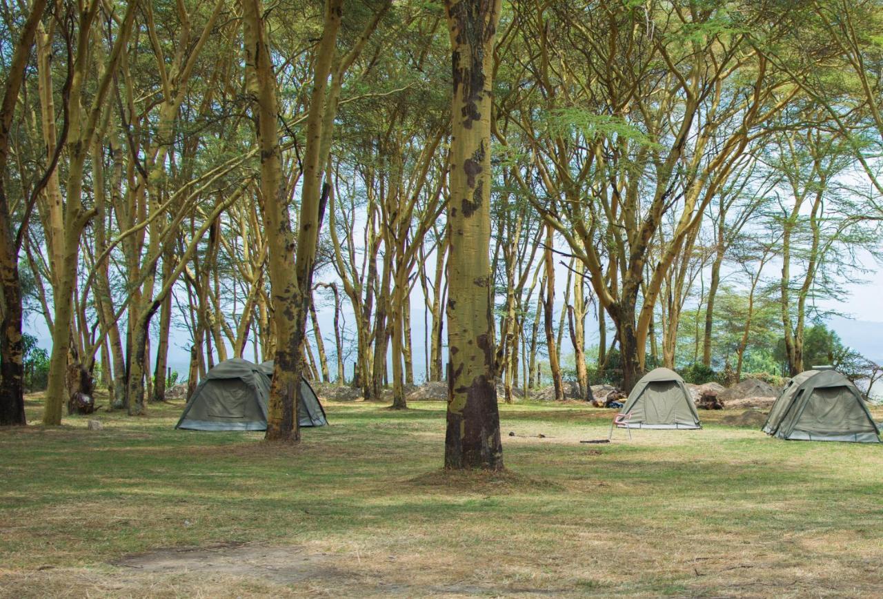 Burch'S Resort Naivasha Camping Zewnętrze zdjęcie